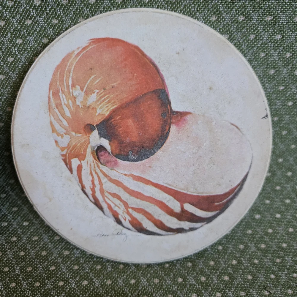 Stone Seashell Design Coasters With Cork Backing - Set of 4